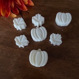 Autumn Ember, 2 ounce Soy Wax Melts image 2