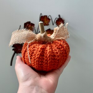 Rustic Pumpkin, Crochet image 3