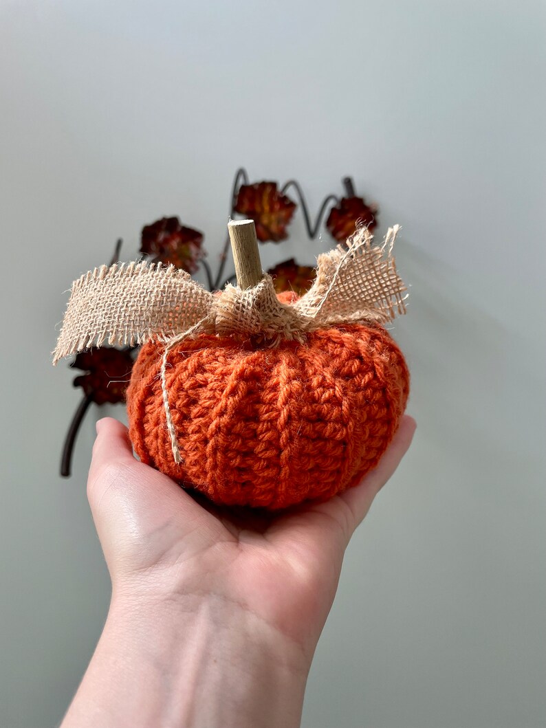 Rustic Pumpkin, Crochet image 3