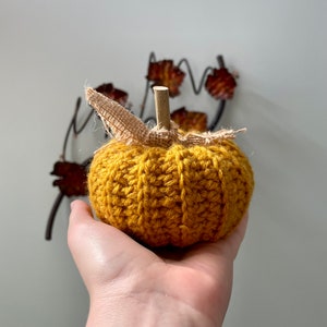 Rustic Pumpkin, Crochet image 6