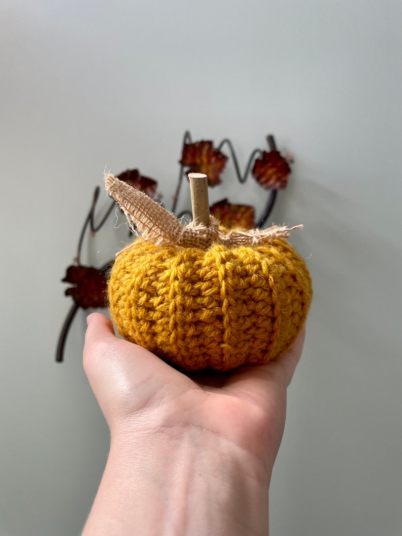 Rustic Pumpkin, Crochet image 6