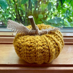 Rustic Pumpkin, Crochet image 2