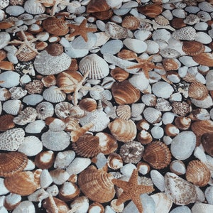 Op de afbeelding: Een close-up van een stof met een herhalend patroon van schelpen en zeesterren in tinten bruin, wit en grijs op een zwarte achtergrond.