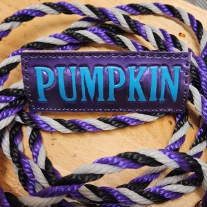 May include: A purple and black braided rope leash with a purple leather tag that says "PUMPKIN" in blue lettering.
