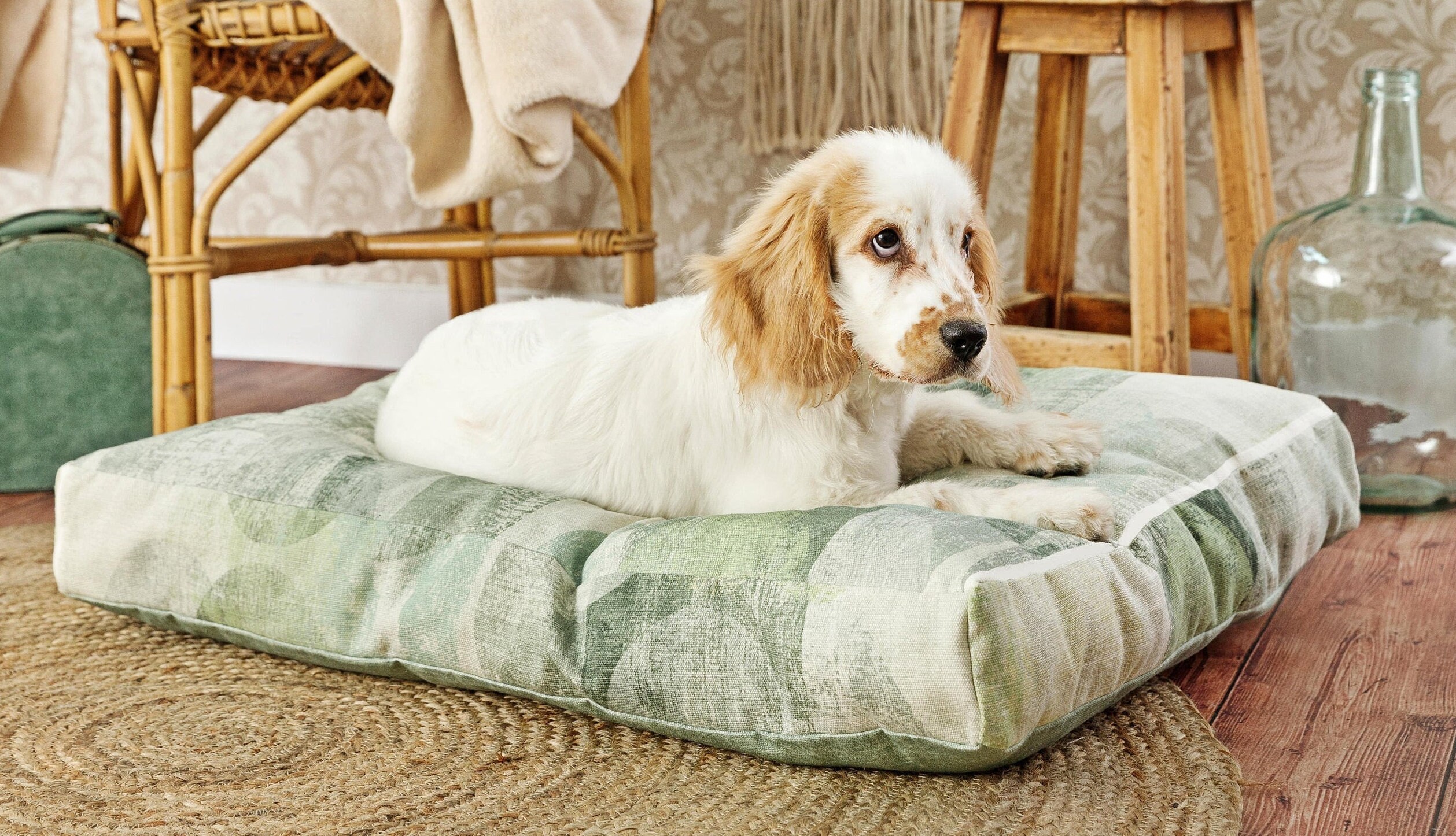 GOTS Certified 100 Organic Cotton Pet Bed. Non toxic pet Etsy