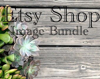 Suculento y tablón de madera fondo Etsy Shop Imágenes, Mockup, imagen de marketing en línea, Descarga digital,