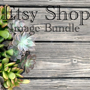 Etsy Succulents - Etsy