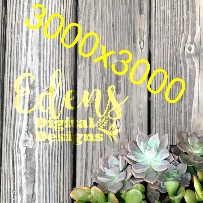 Download Succulent and Wood plank Background Etsy Shop Images Mockup | Etsy
