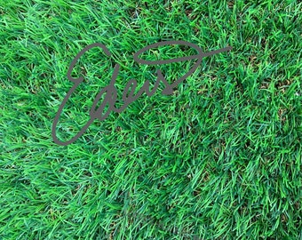 Grass Background Online marketing image, Digital Download, Stock Photo