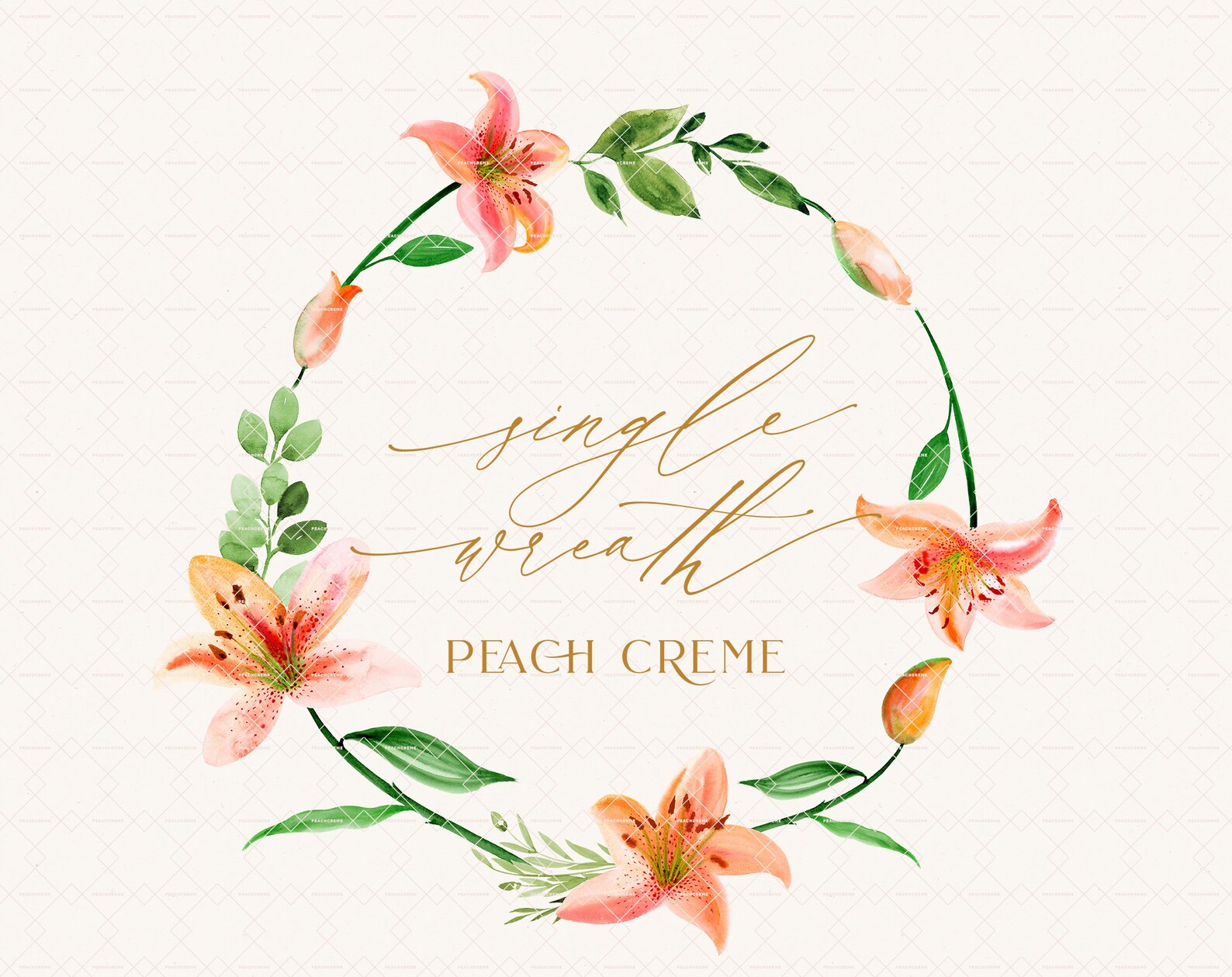 Peach And Lily Instagram