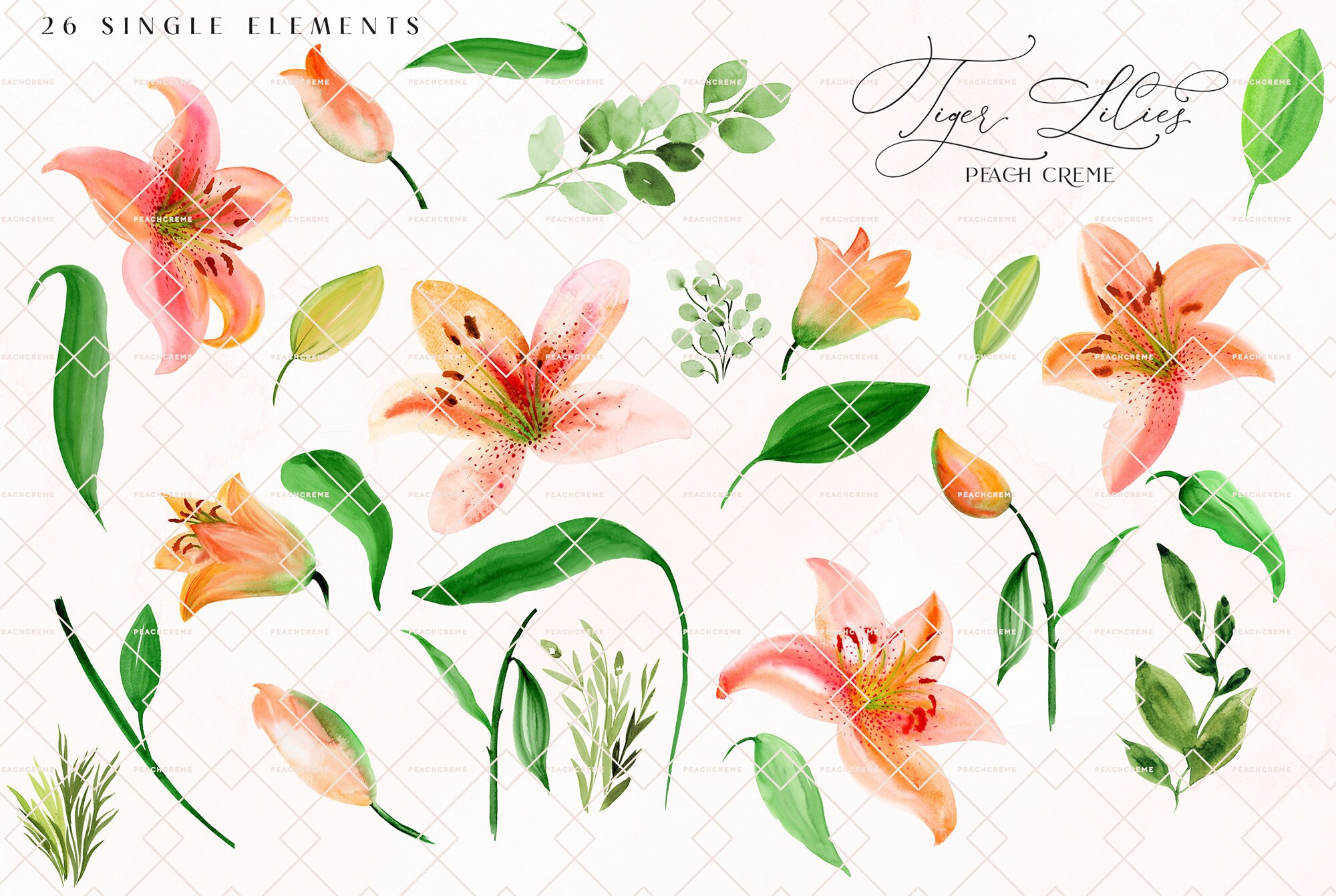 Tiger Lilies Watercolor Flower Clip Art Collection Wedding | Etsy