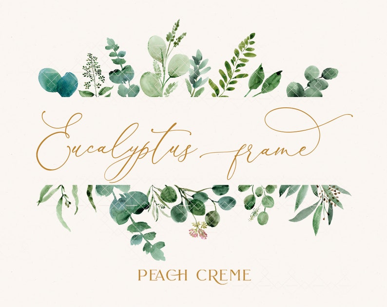 Eukalyptus Rahmen Aquarell Blumenkranz Eukalyptus Clipart Etsy