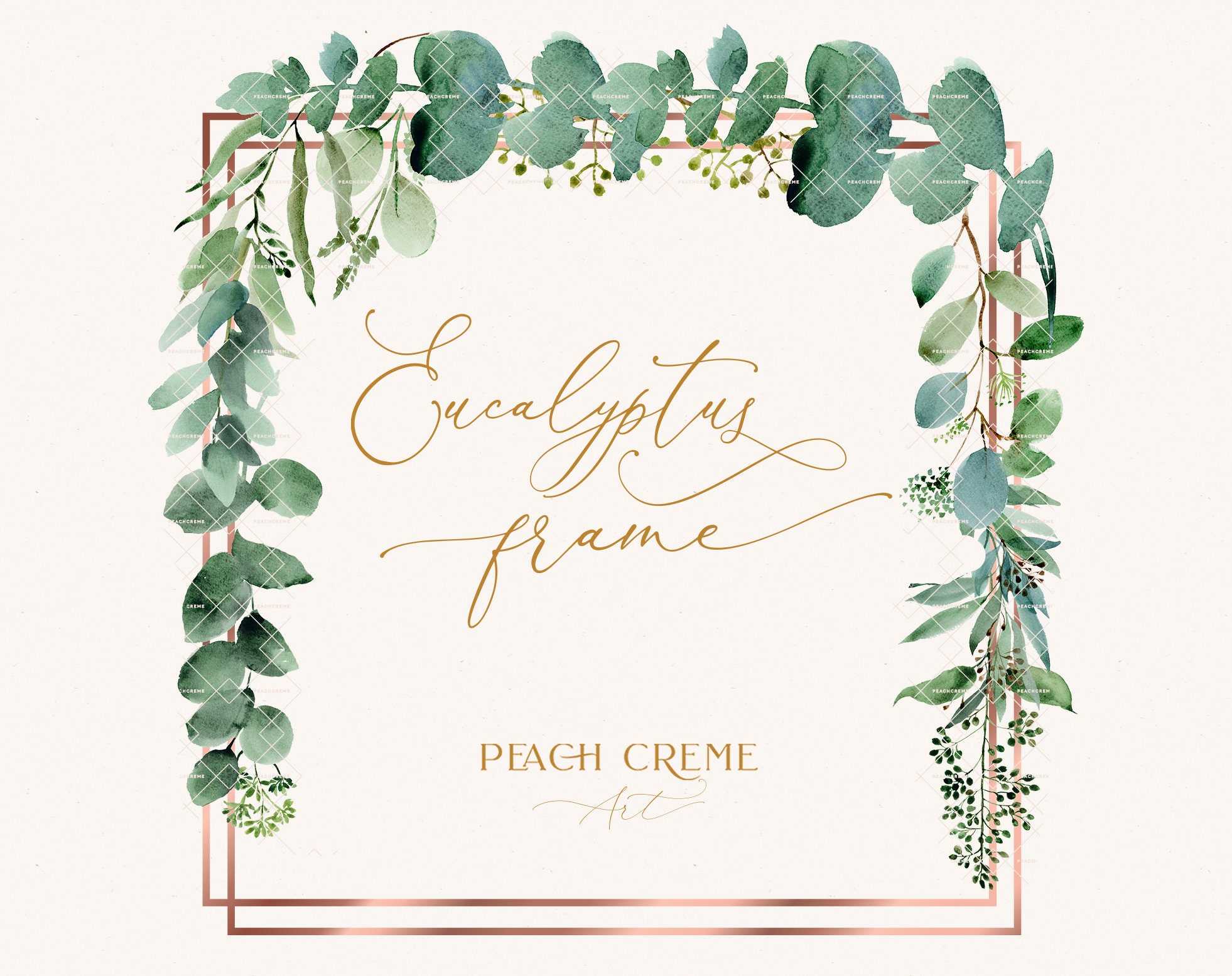 Drawing Illustration Pink Flower Clipart Digital Eucalyptus Frame Watercolor Flower Wreath 