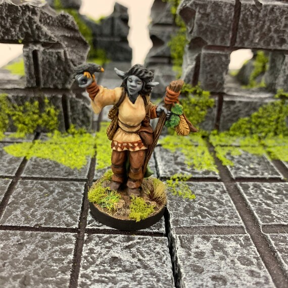 Featured image of post Firbolg Druid Miniature