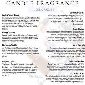 FEDERAL AGENT Gifts l Funny Candle Gift For Women and Men l Appreciation, Birthday, Christmas Gift l Hand Poured, Soy Scented Candle 9 oz. image 4