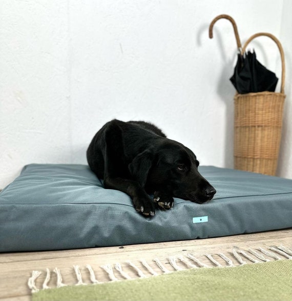 Firm dog bed clearance