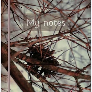 Digital notebook 'My notes' 51 pages pdf file for iPad and Android devices