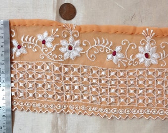 RARE lot Antique Vintage Sari Trim Lace Ribbon Embroidered WORK! 2 FEET K37 S247 BR5