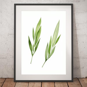 Boho Abstract Print - Unframed, Minimalist Wall Art, Wall Art Print, Boho Print