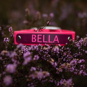 Biothane Collar + Name