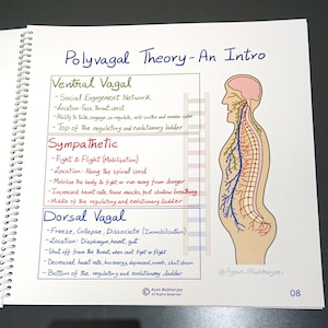 Visual Aids Flipbook for Trauma Therapy Handmade Mental Health Education Art Psychotherapy, Therapist Counselor Gift, Anxiety, PTSD image 6