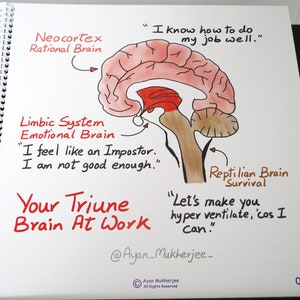 May include: A hand-drawn illustration of the human brain divided into three sections: the neocortex, the limbic system, and the reptilian brain. Each section is labeled with its name and a short description of its function. The neocortex is labeled "Rational Brain" and the text "I know how to do my job well." The limbic system is labeled "Emotional Brain" and the text "I feel like an impostor. I am not good enough." The reptilian brain is labeled "Survival" and the text "Let's make you hyper ventilate, 'cos I can."