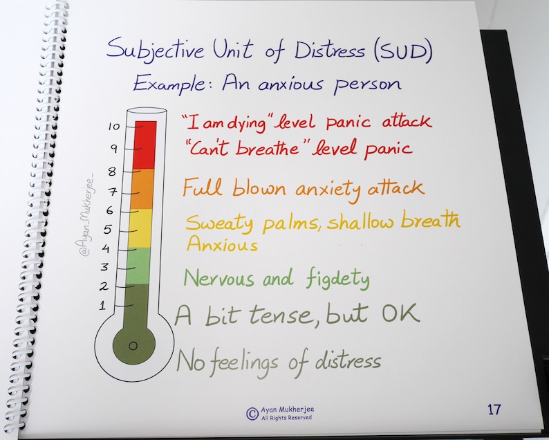 EMDR Therapy: Visual Aids Flipbook for Trauma & EMDR Therapy | Etsy