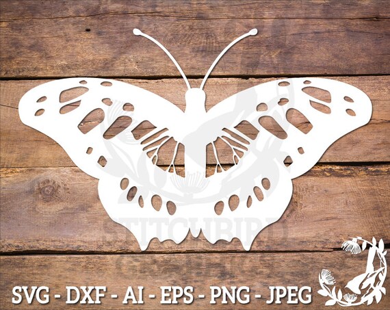 Download Eps Dxf Butterfly Svg Commercial Use Svg Malachite Butterfly 2 Svg Clipart Instant Download Silhouette Svg Silhouette Studio Cricut Clip Art Art Collectibles Kromasol Com