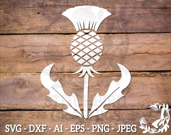 Scottish Thistle 1 Svg Instant Download Vector Art Etsy
