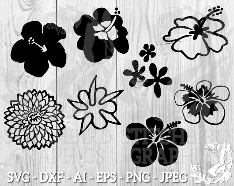 Dxf Eps Tropical Flowers Clipart Silhouette Studio Cricut Tropical Flowers SVG Instant Download Commercial Use SVG Silhouette SVG