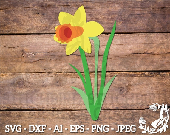 Download Daffodil Svg Instant Download Vector Art Commercial Use Etsy