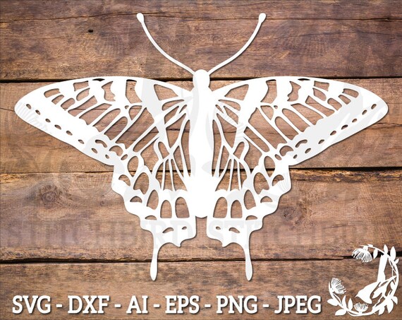 Download Swallowtail Butterfly Svg Instant Download Commercial Use Etsy PSD Mockup Templates