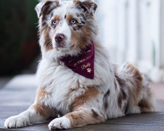 Dog bandana | Velvet | Ruby red