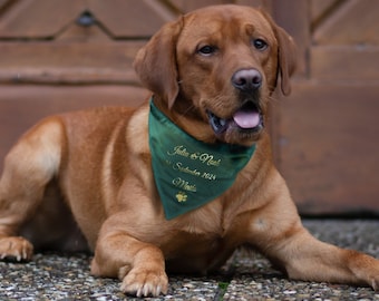 Dog bandana | Velvet | forest green