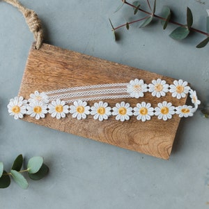 Garter Daisy image 1