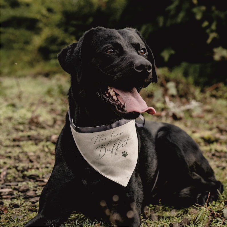 Hund Accessoires Hochzeit