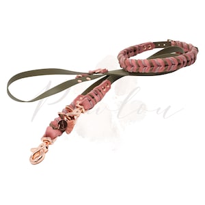 Dog collar and dog leash Biothane meets fat leather individual - colors freely selectable