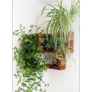 Customers corner shelf shown in a corner