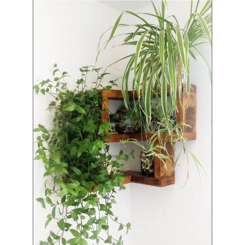 Customers corner shelf shown in a corner