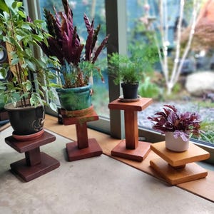 Op de afbeelding: Vier houten plantenstandaards in verschillende bruintinten, elk met een gepotte plant. De standaards zijn allemaal verschillend in hoogte en stijl, sommige met één niveau en andere met twee niveaus. De planten omvatten een groene varensoort, een plant met rode bladeren en een kleine groene plant.