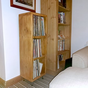 Customer image showing the vinyl storage unit using a photo filter