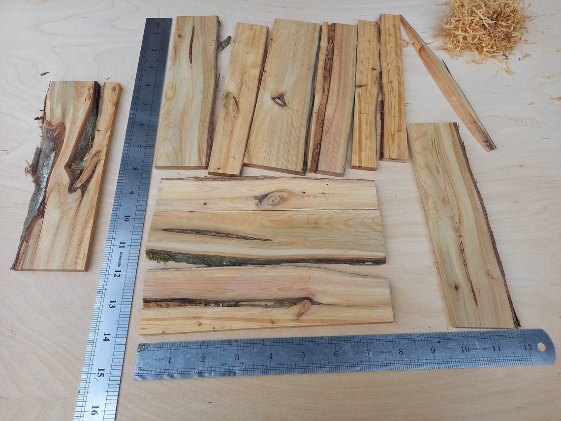 Juniper Wood Plank Decorative Craft Supplies Juniperus Etsy