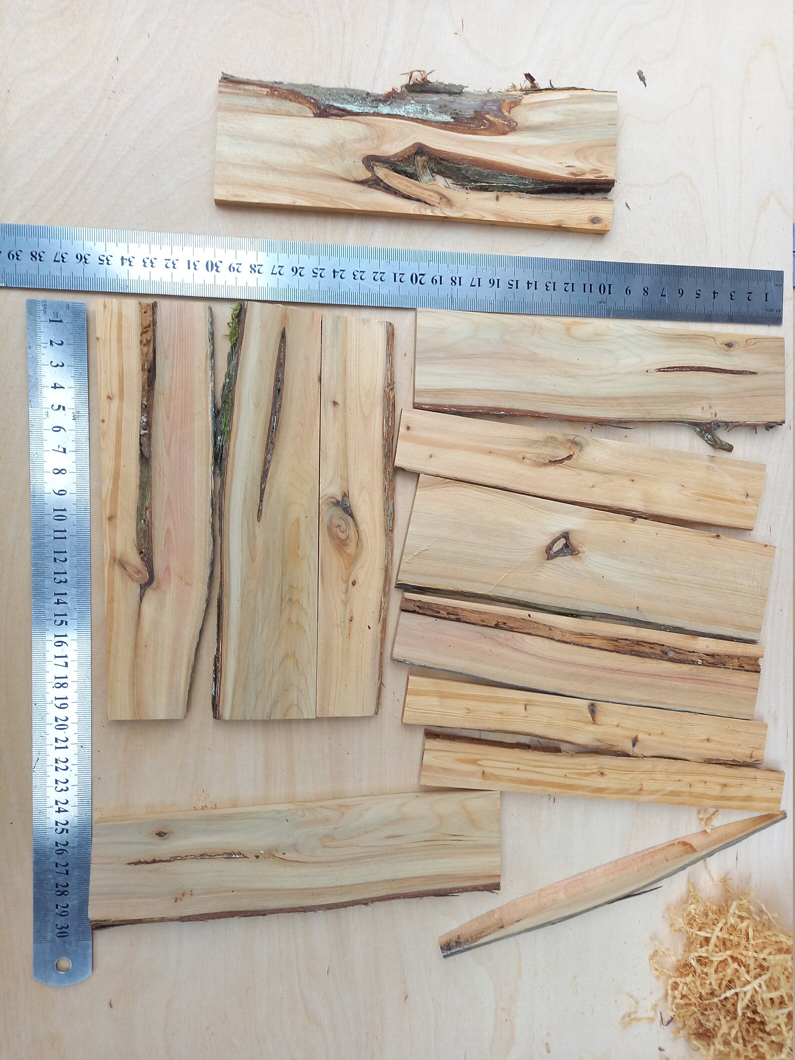 Juniper Wood Plank Decorative Craft Supplies Juniperus Etsy