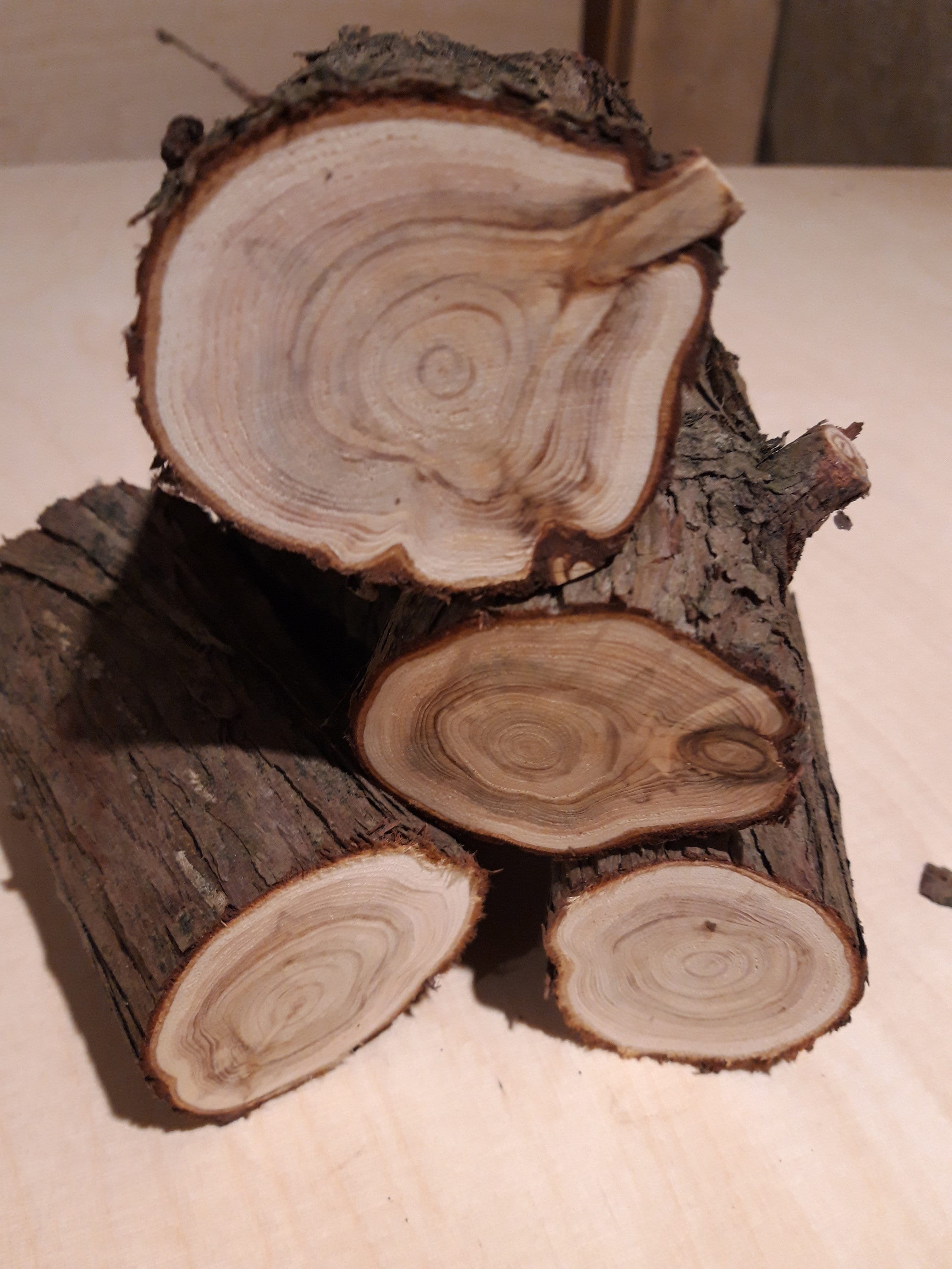 Juniper Wood Log DIY Craft Supplies Juniperus Communis Etsy