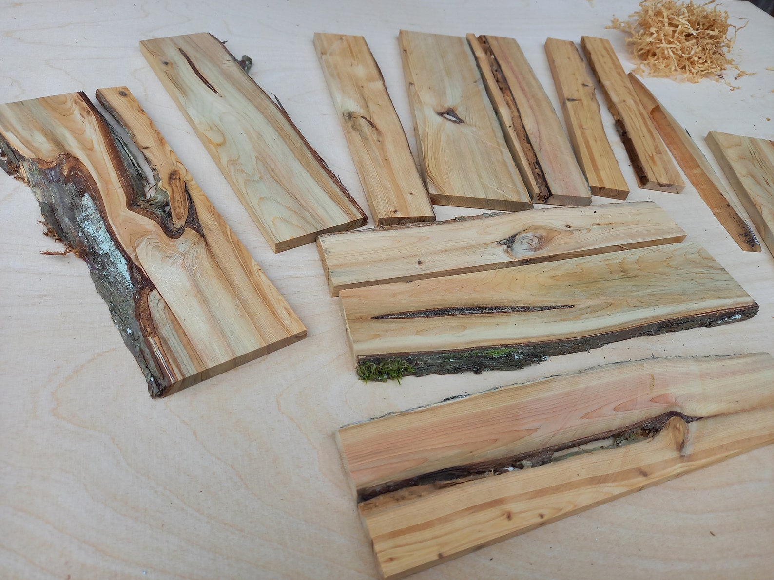 Juniper Wood Plank Decorative Craft Supplies Juniperus Etsy