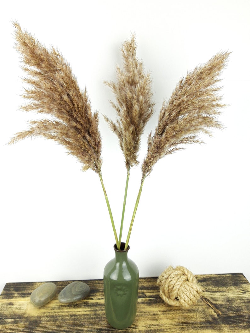 Feather Reed Grass Large Plumes Decorative Centerpiece Vase Etsy