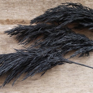 large black vase with pampas grass