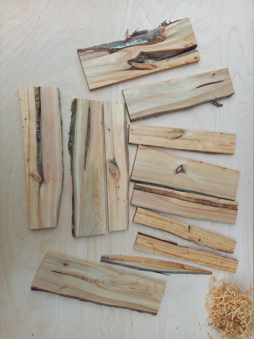 Juniper Wood Plank Decorative Craft Supplies Juniperus Etsy