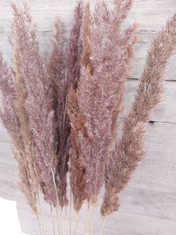 Feather Grass Vase Decor Light Purple Color Plumes Reed Etsy