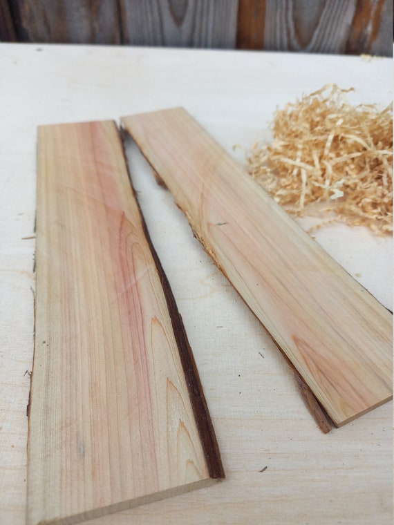 Juniper Wood Mini Plank DIY Craft Supplies Juniperus Etsy
